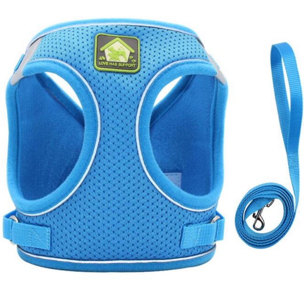 New pet leash for dogs and cats